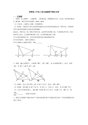 浙教版八年级上册压轴题数学模拟试卷(DOC 39页).doc