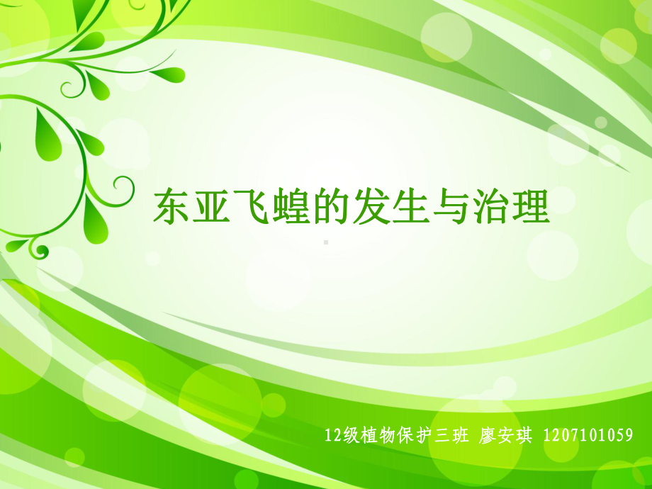 东亚飞蝗的发生与治理课件.ppt_第1页