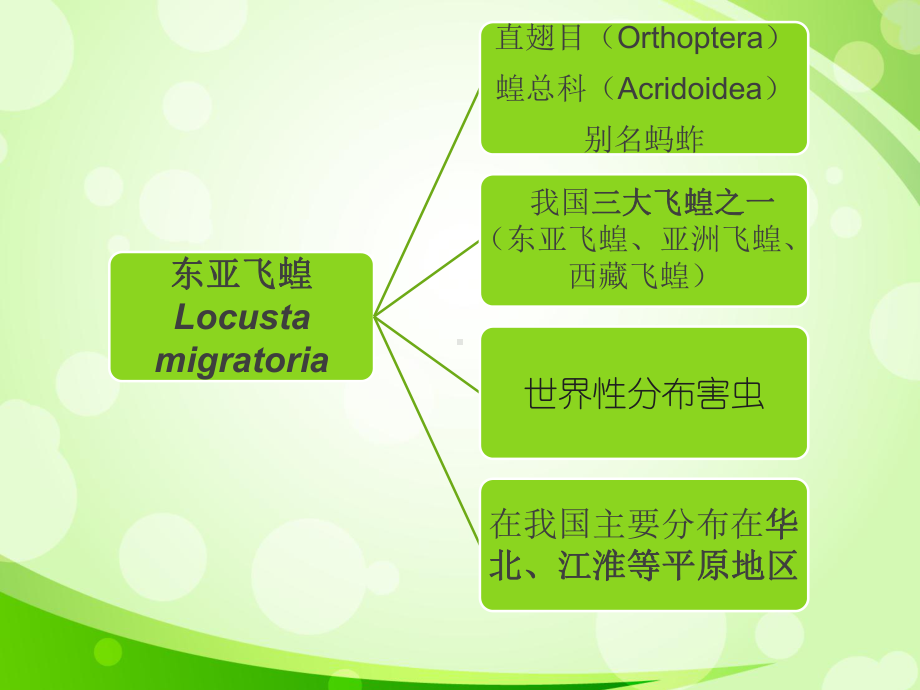 东亚飞蝗的发生与治理课件.ppt_第3页