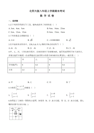 最新北师大版八年级上册数学《期末考试试卷》带答案(DOC 19页).doc