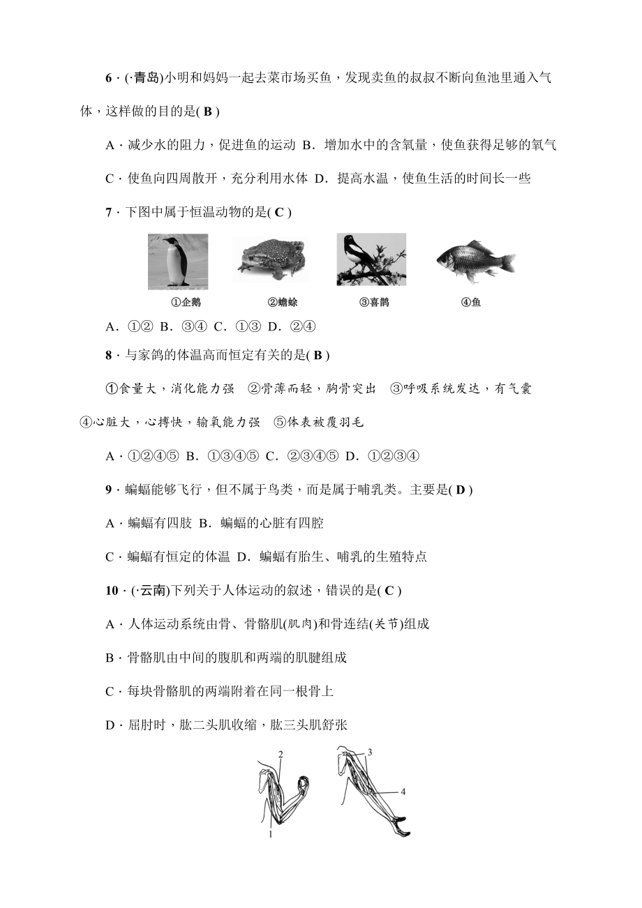 最新人教版八年级生物上册期末测试题(DOC 9页).doc_第2页