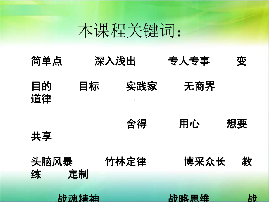 个人商业模式定制课件.ppt_第2页