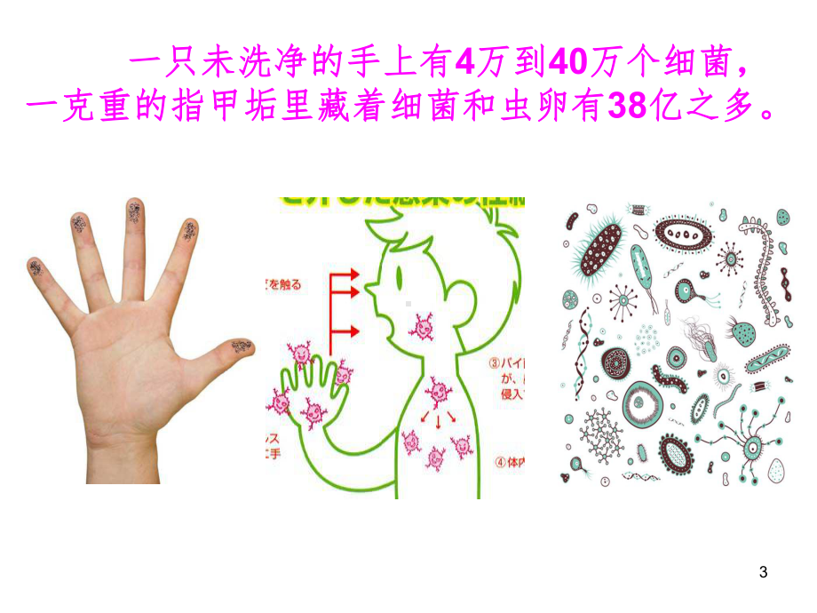 六年级培养卫生习惯主题班会(课堂)课件.ppt_第3页