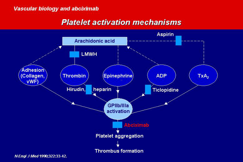 ACS抗血小板治疗现状-课件.ppt_第2页