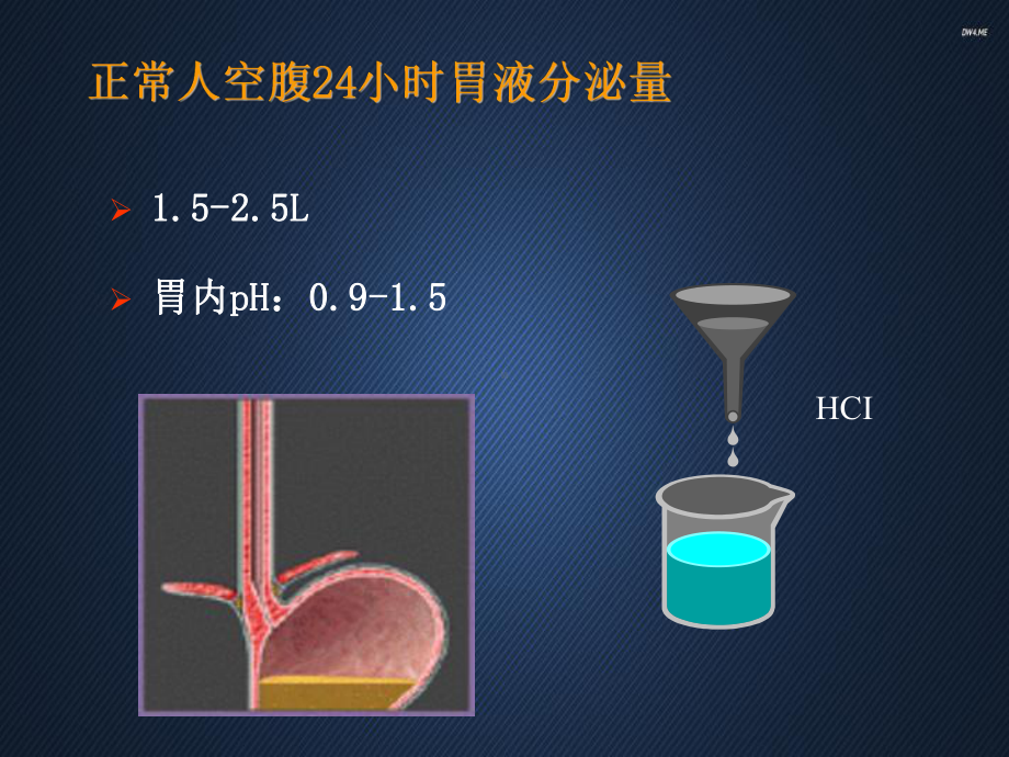 PPI的临床应用进展（消化内科）-课件.ppt_第3页