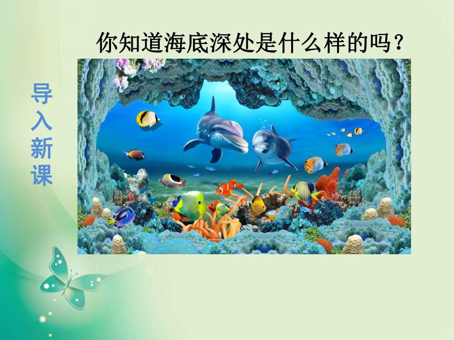 《海底世界》课件-部编版课件1.ppt_第2页