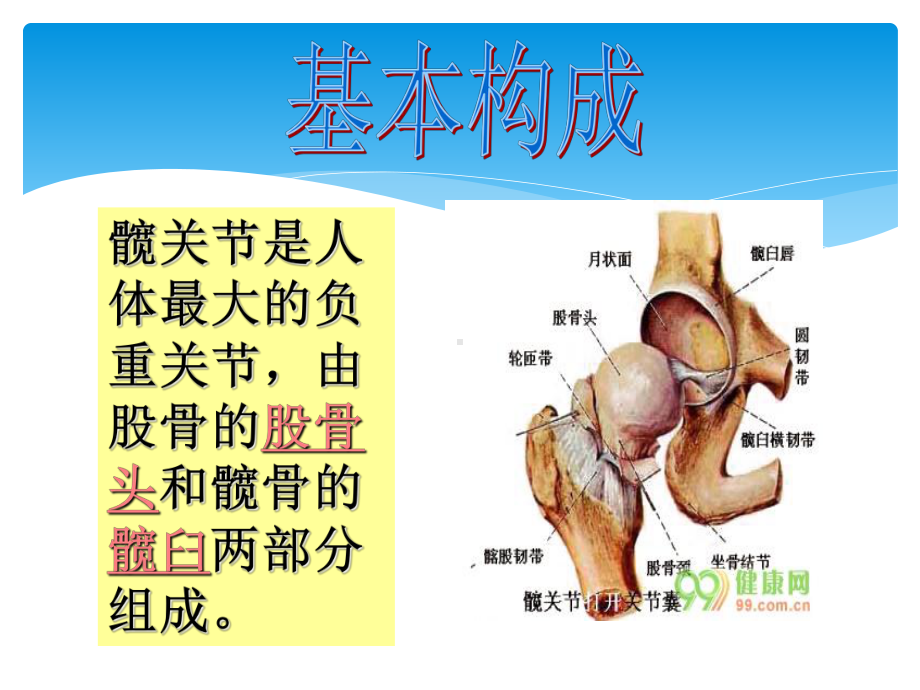 全髋关节置换术后护理查房课件.ppt_第2页