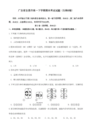 广东省东莞市高一下学期期末考试试题(生物b卷)(DOC 9页).doc