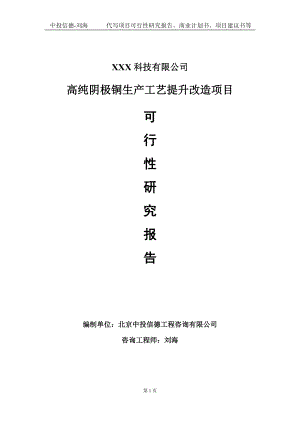 高纯阴极铜生产工艺提升改造项目可行性研究报告写作模板定制代写.doc