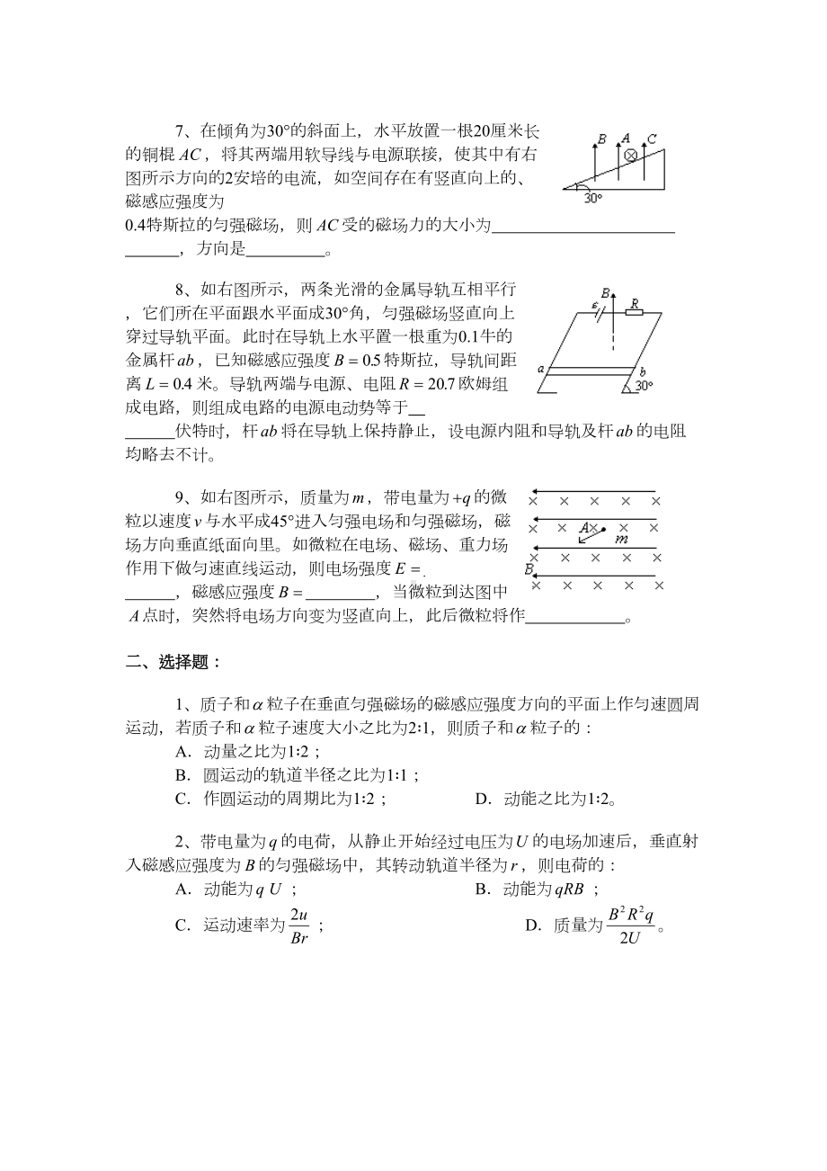 磁场专项练习题(DOC 7页).doc_第2页