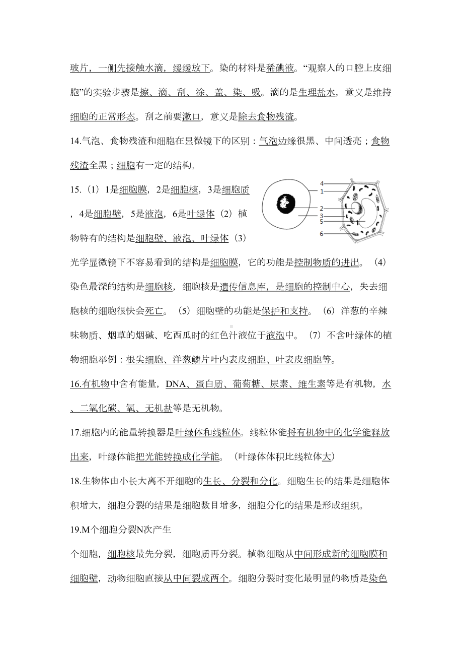 生物七年级上册复习知识点总结(DOC 6页).doc_第3页