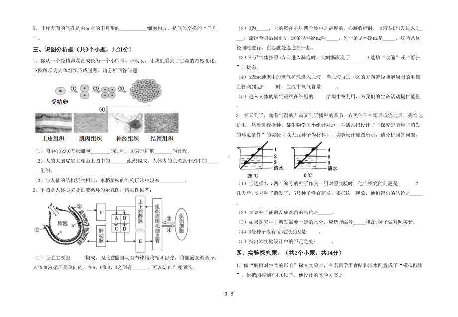 新人教版七年级下册《生物》期末考试卷(A4打印版)(DOC 5页).doc_第3页