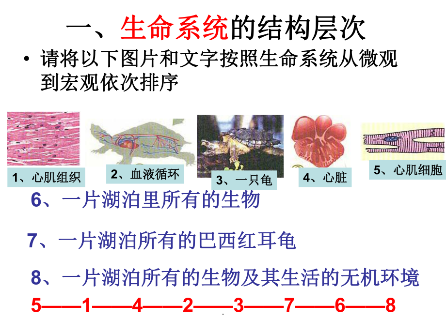 从生物圈到细胞(一轮复习)课件.ppt_第2页