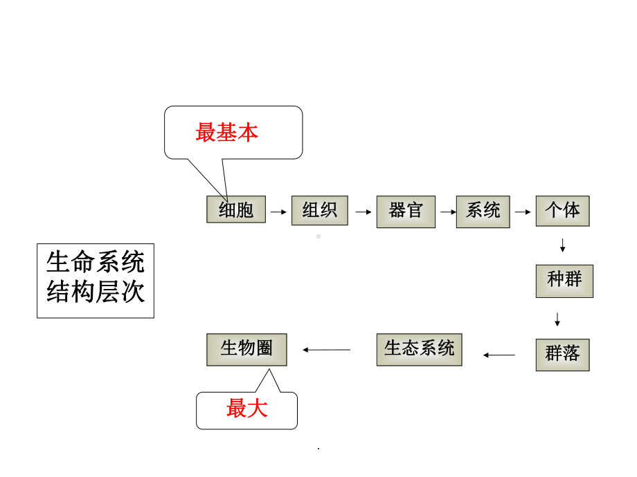 从生物圈到细胞(一轮复习)课件.ppt_第3页