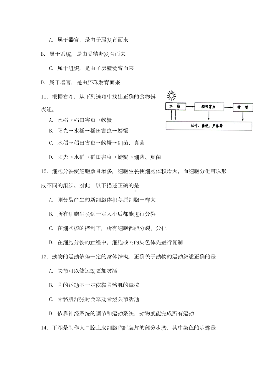 海南省中考生物试题(DOC 11页).doc_第3页