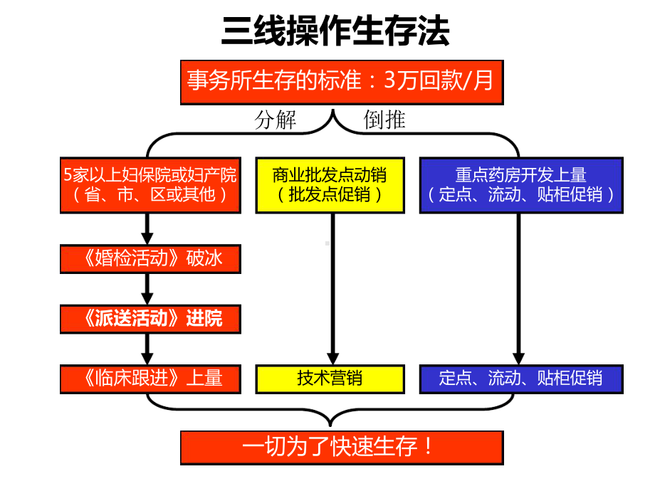 三线操作具体实施方案重点药房动销课件.ppt_第2页