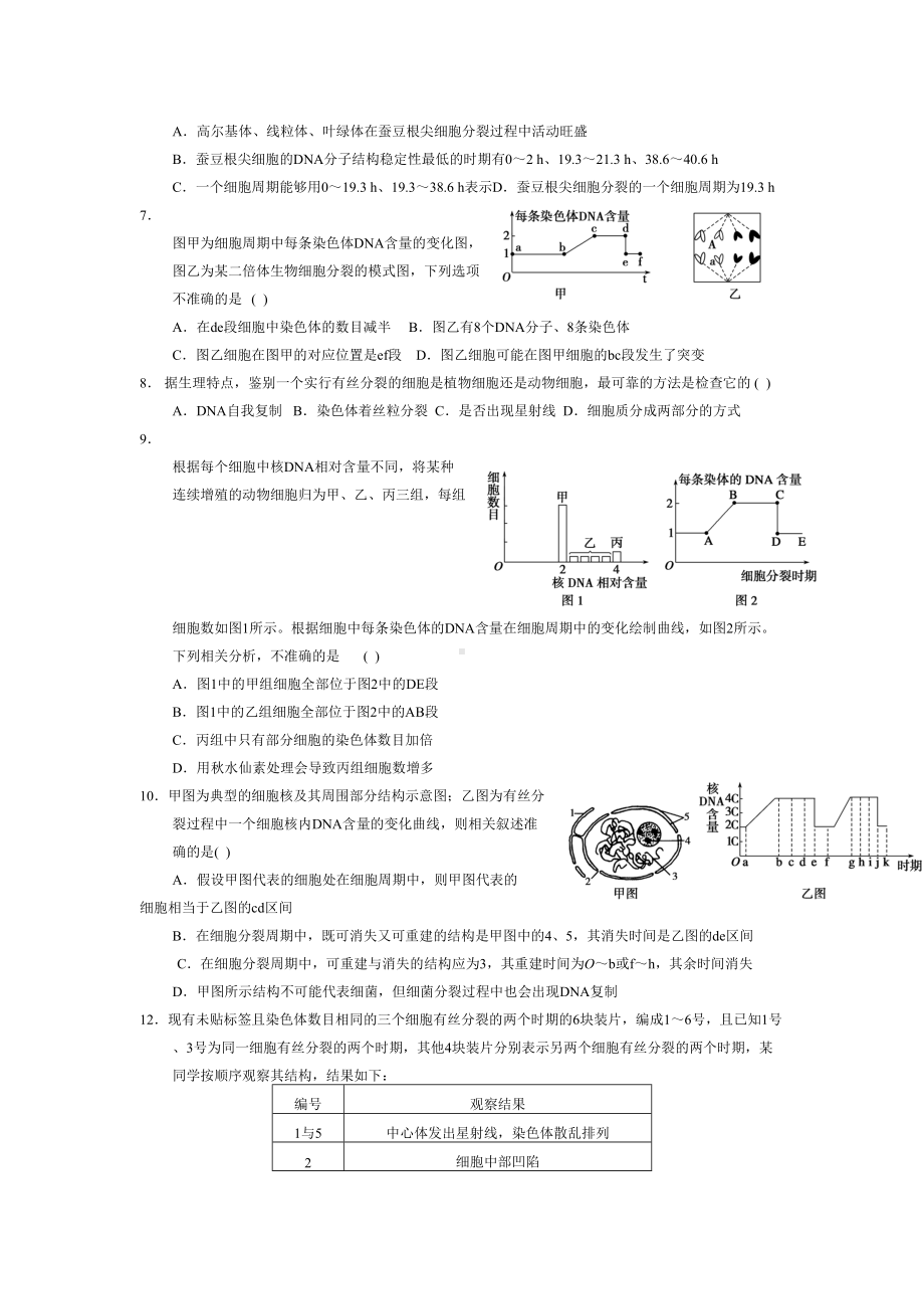 有丝分裂和减数分裂试题(DOC 9页).doc_第2页