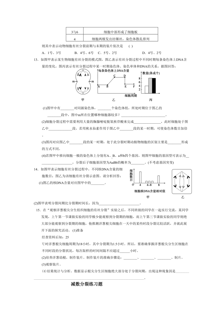 有丝分裂和减数分裂试题(DOC 9页).doc_第3页