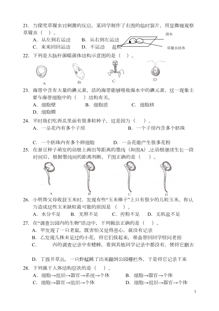 新人教版七年级生物上期末考试卷及答案-(DOC 10页).doc_第3页