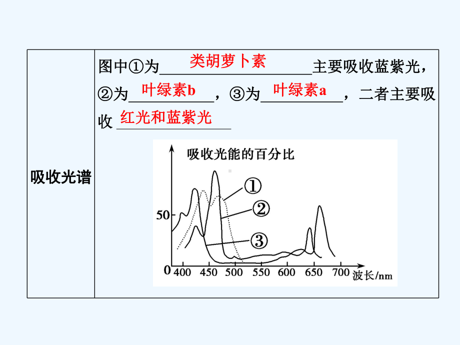 光合作用探究历程与基本过程课件.ppt_第3页