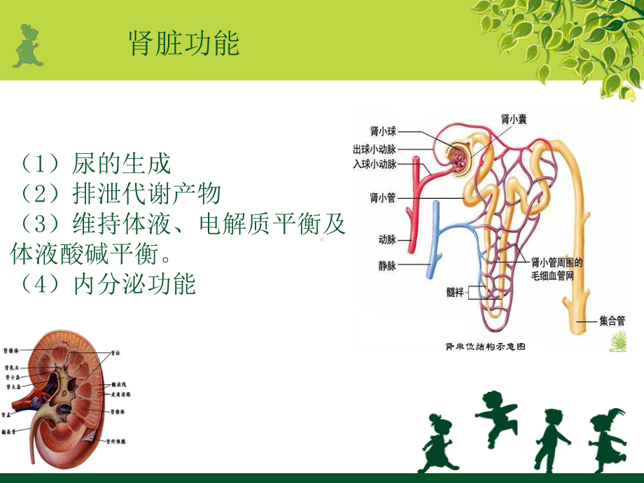 CRRT的护理课件教学总结.ppt_第3页