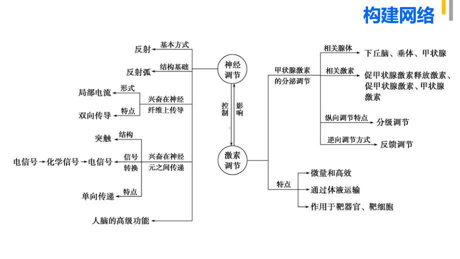 二轮专题动物和人体生命活动的调节课件.ppt_第2页