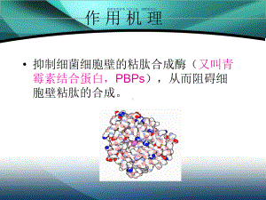 内酰胺类抗菌药物课件.ppt