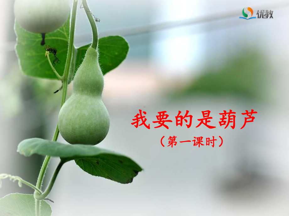 《我要的是葫芦》名师课件(第一课时).ppt_第1页