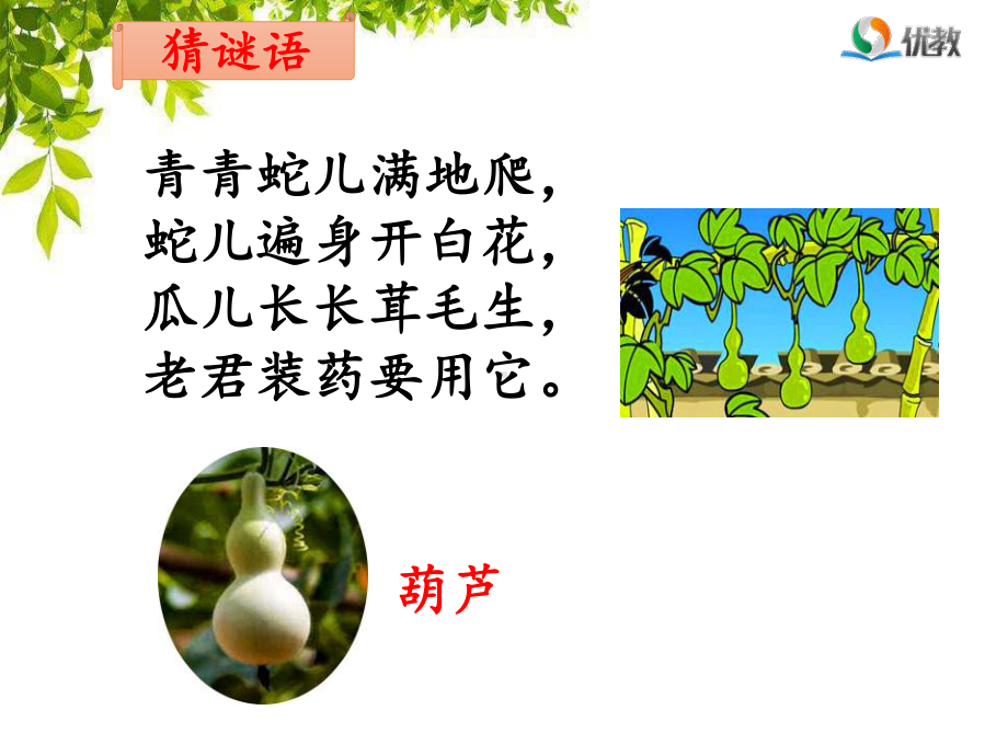 《我要的是葫芦》名师课件(第一课时).ppt_第2页