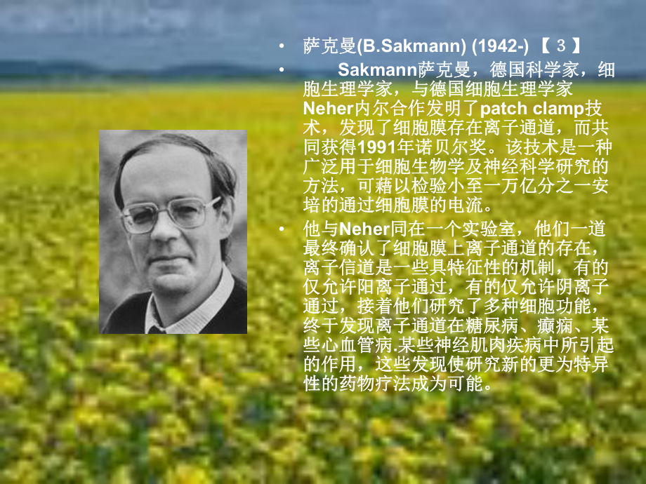 1991年诺贝尔生理医学奖课件.ppt_第3页