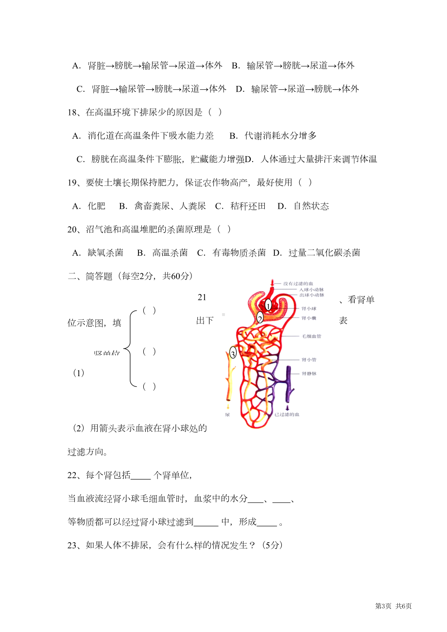 新课标生物学七年级下册-人体内废物的排除测试题(DOC 5页).doc_第3页