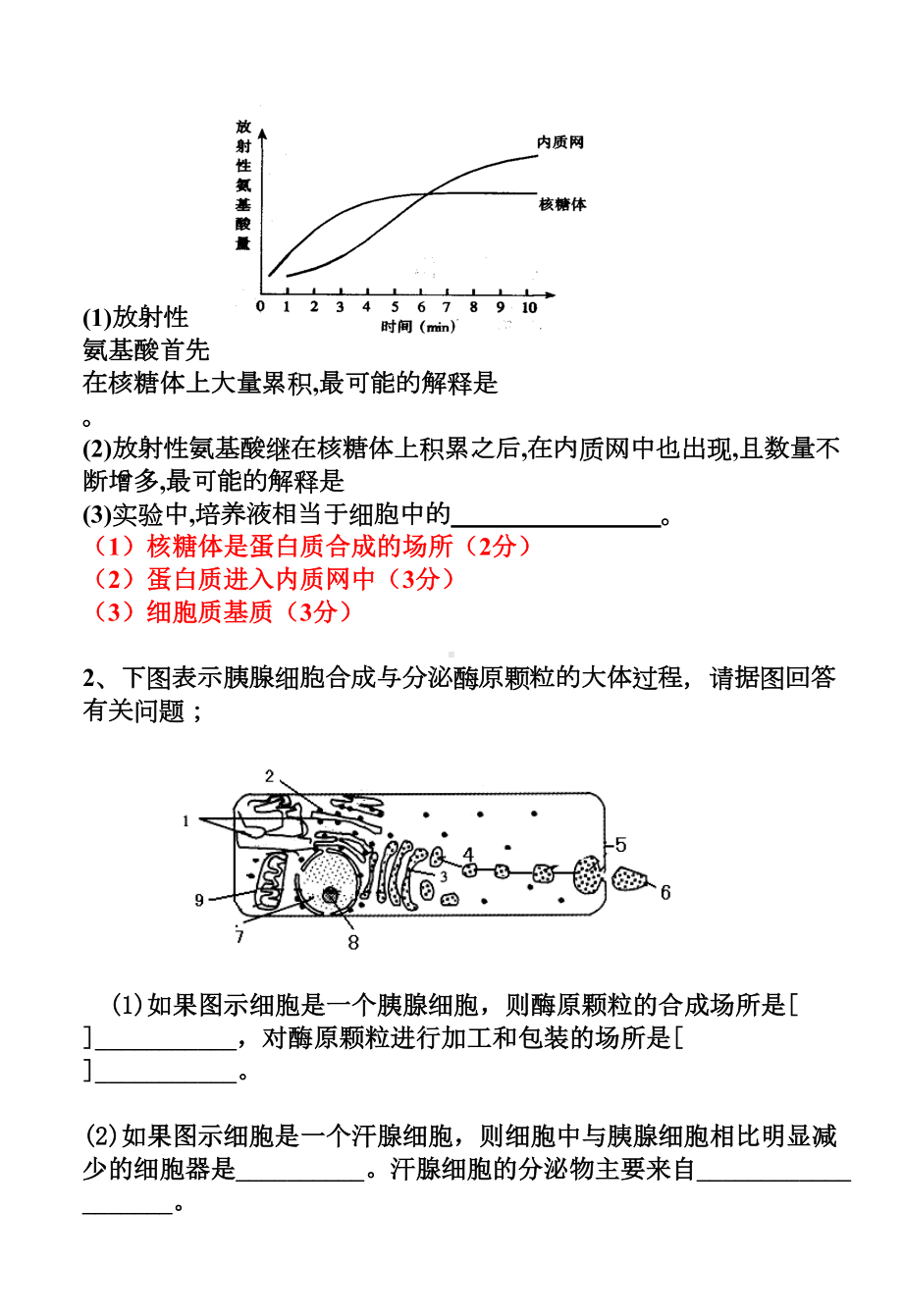 细胞器-系统内的分工合作(练习题)-(DOC 9页).doc_第3页