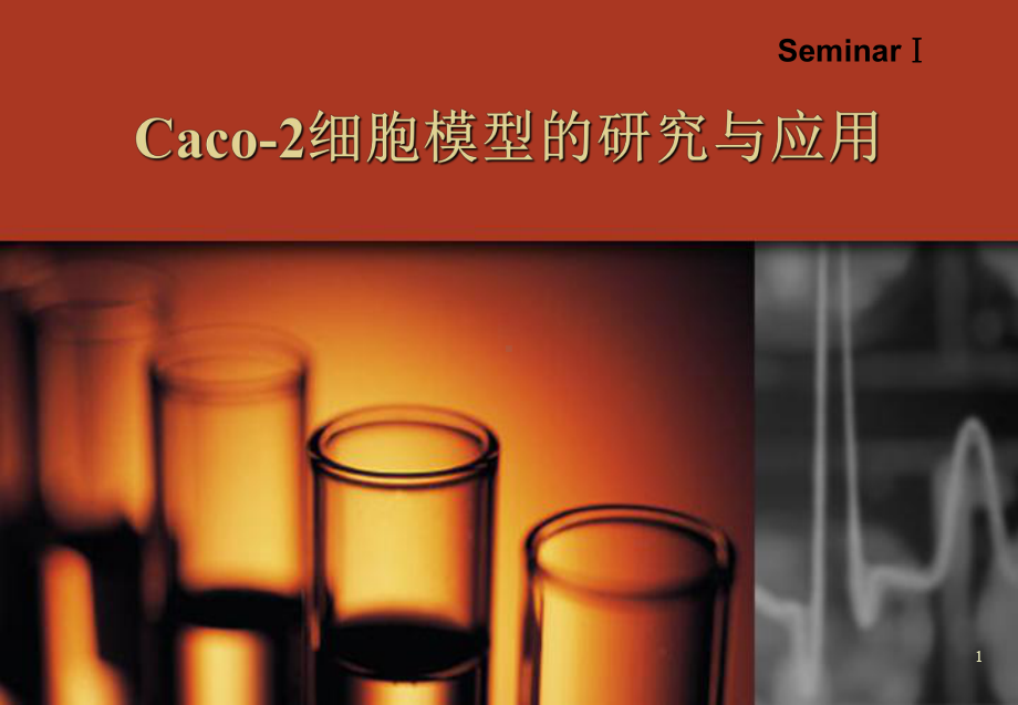 Caco-2-细胞模型的研究与应用(课堂)课件.ppt_第1页