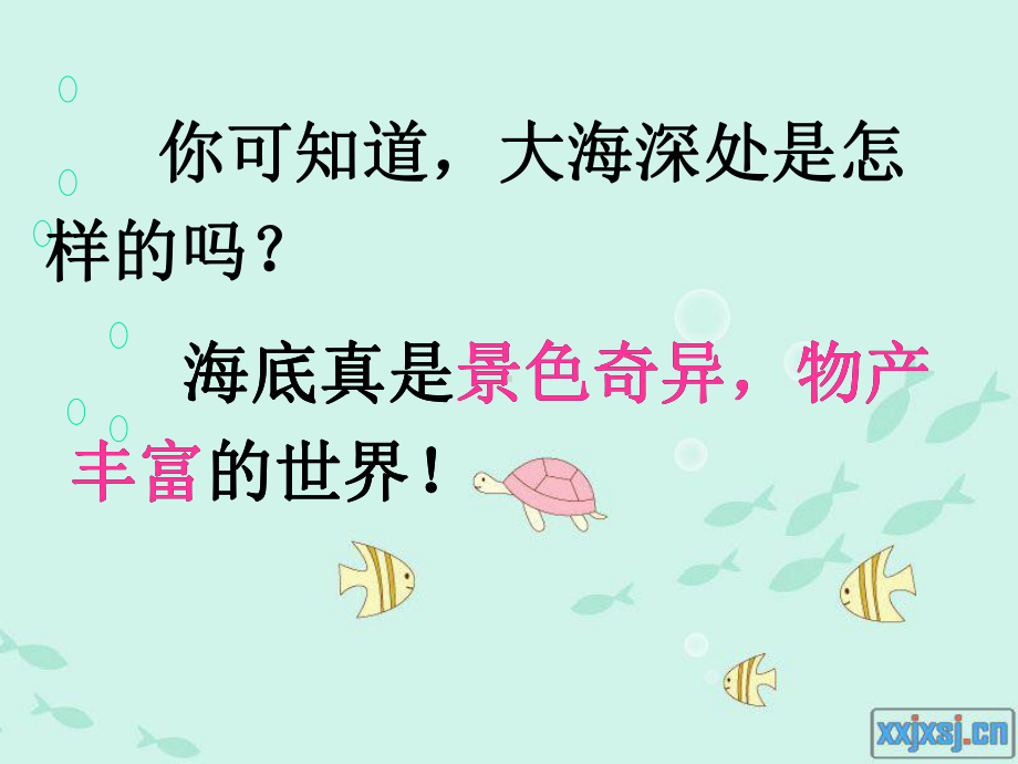 《海底世界》教学课件.ppt_第3页