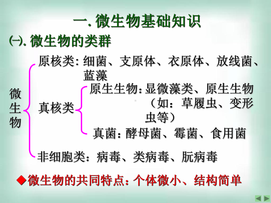 21复习微生物的实验室培养+课件.ppt_第2页