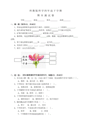 科教版科学四年级下册《期末测试卷》及答案(DOC 5页).doc