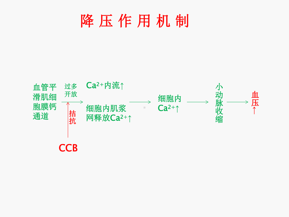 CCB类降压药课件.ppt_第3页