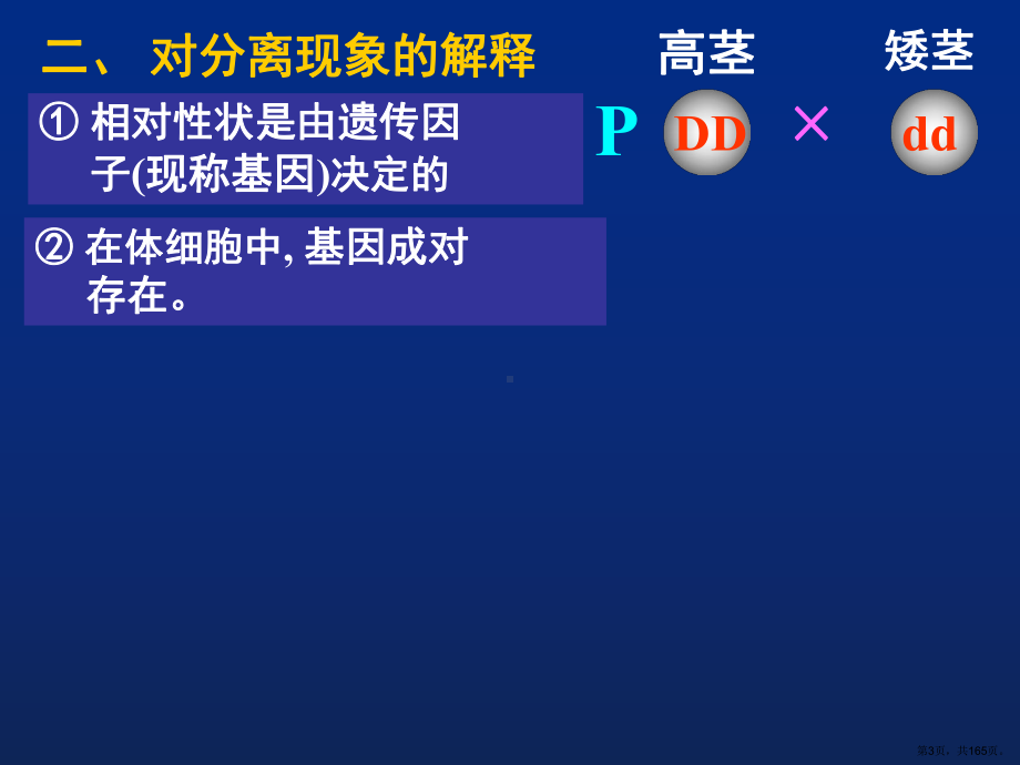 生物必修二《遗传与进化》总复习课件1(396页).pptx_第3页