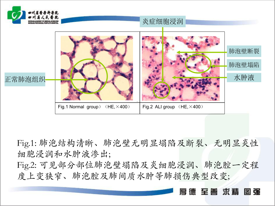 上传peep滴定课件.ppt_第3页