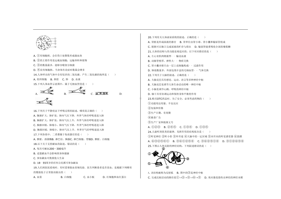 最新人教版七年级生物下册期末考试试题及参考答案(DOC 6页).doc_第2页