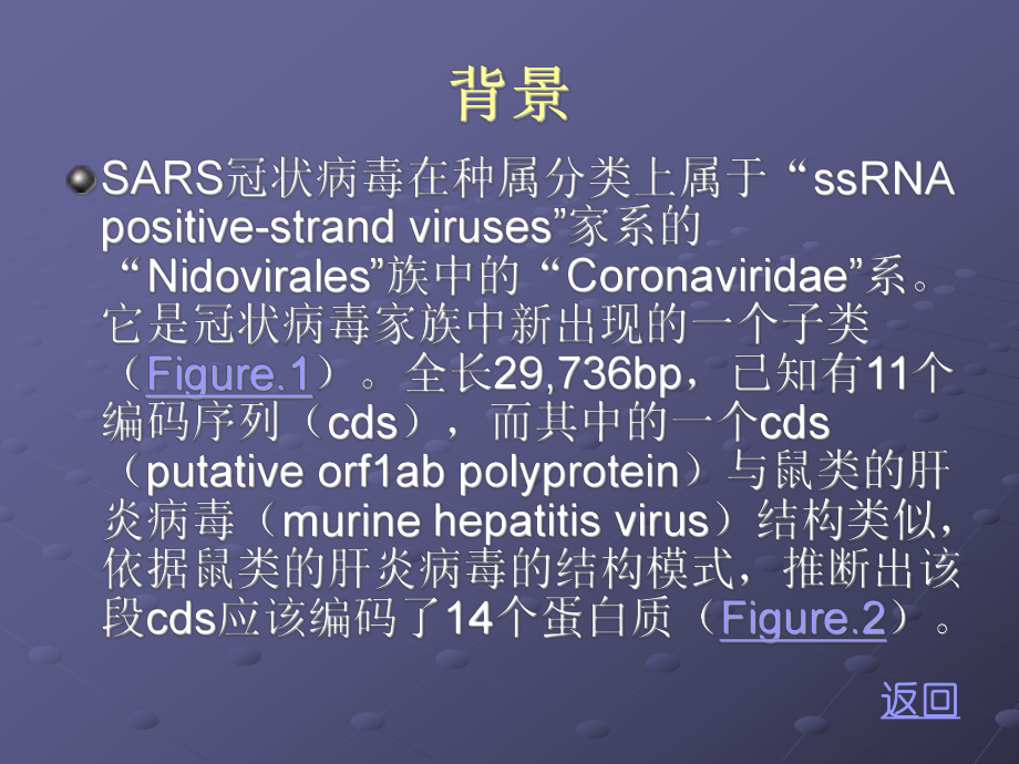 SARS病毒介绍课件.ppt_第3页