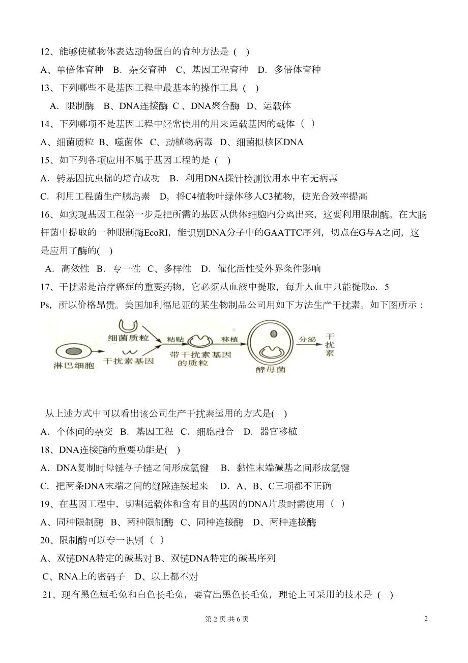 杂交育种与生物进化练习题汇总(DOC 6页).doc_第2页