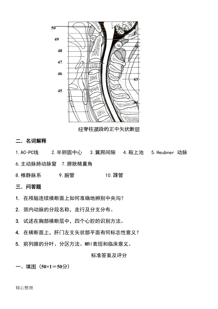 断层解剖学试卷(DOC 6页).doc_第3页