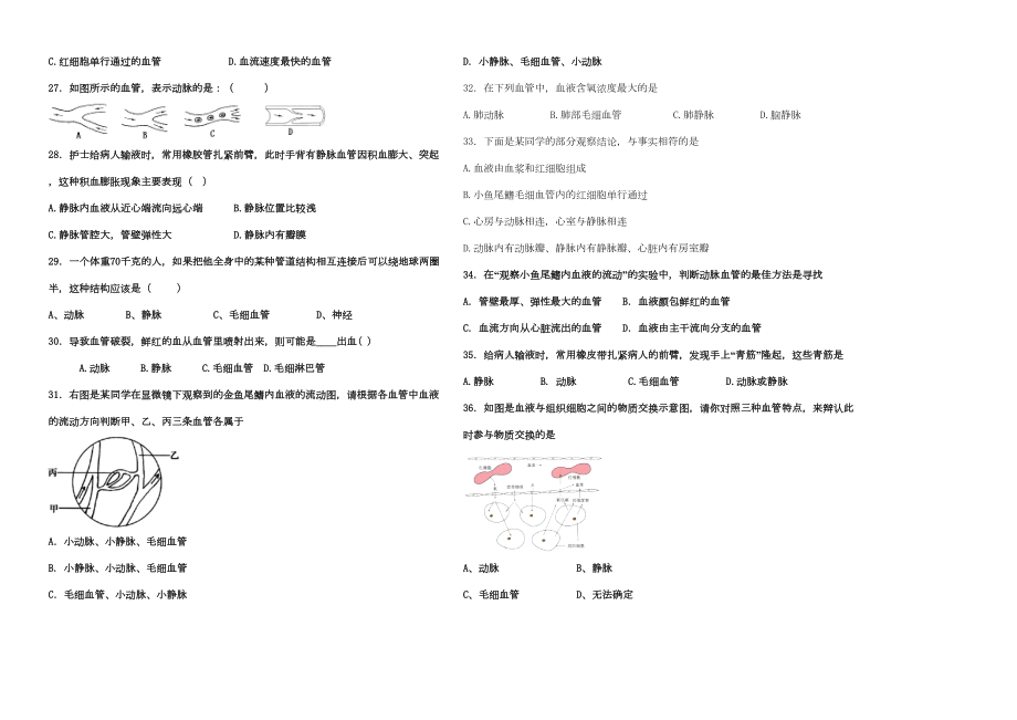 物质运输的管道练习题解析(DOC 17页).doc_第3页