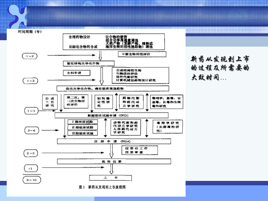 临床前药学研究课件.ppt_第2页