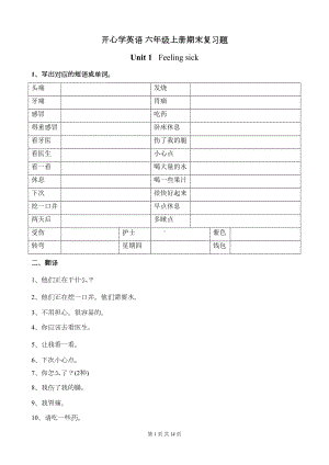 开心学英语期末知识点复习讲解(DOC 13页).doc