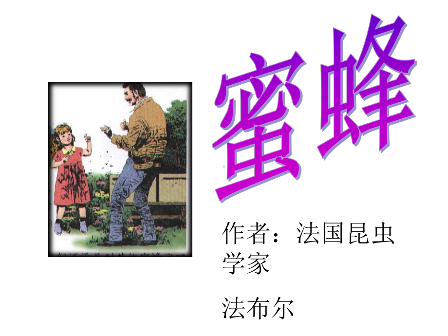 14《蜜蜂》教学讲解课件3.ppt_第1页