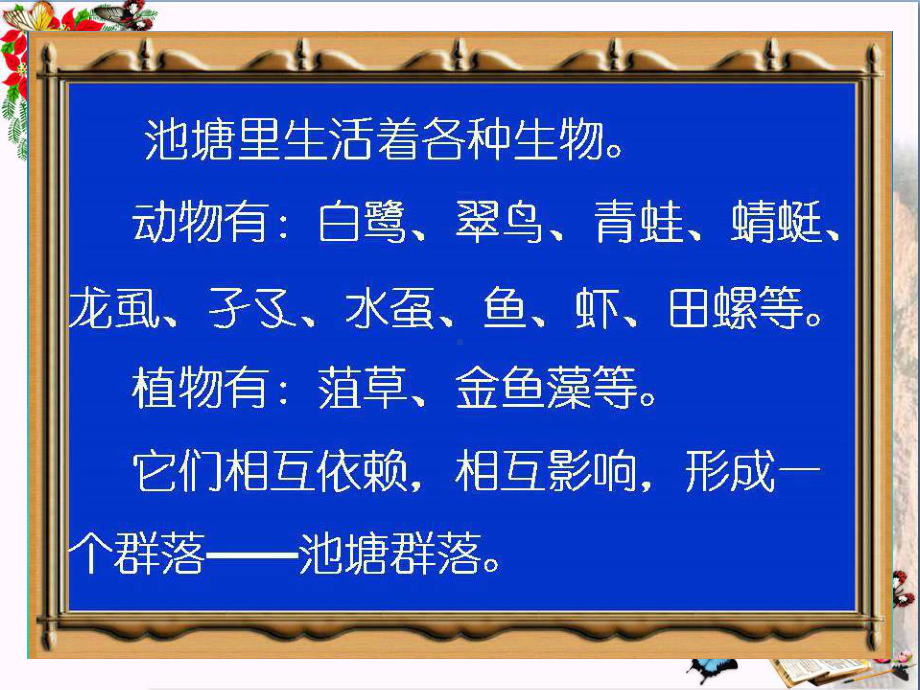 六年级科学上册13走进池塘精选教学2湘教课件.ppt_第3页