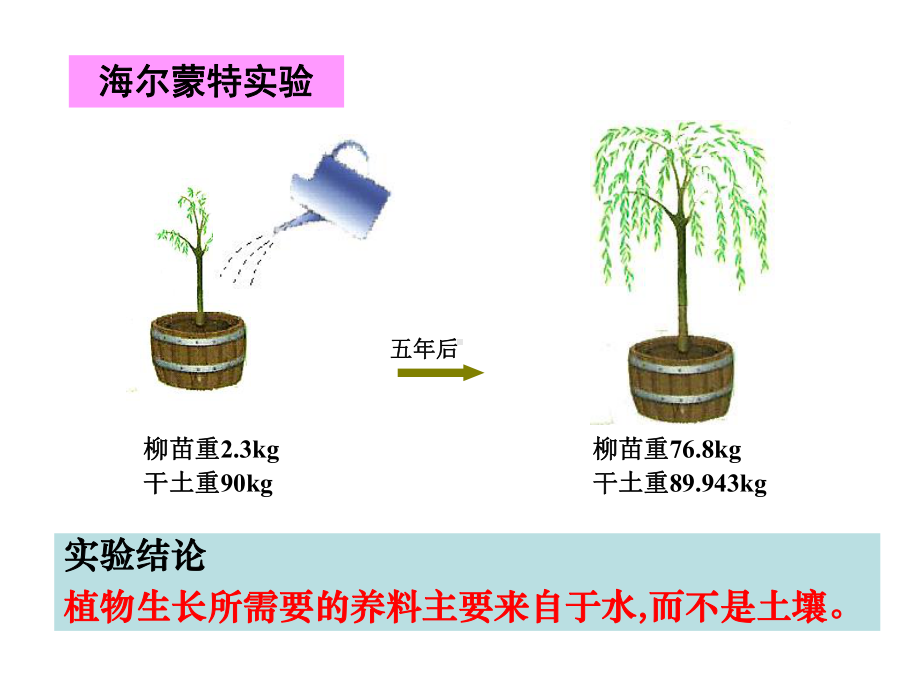 光合色素与光能量的捕获课件.ppt_第2页