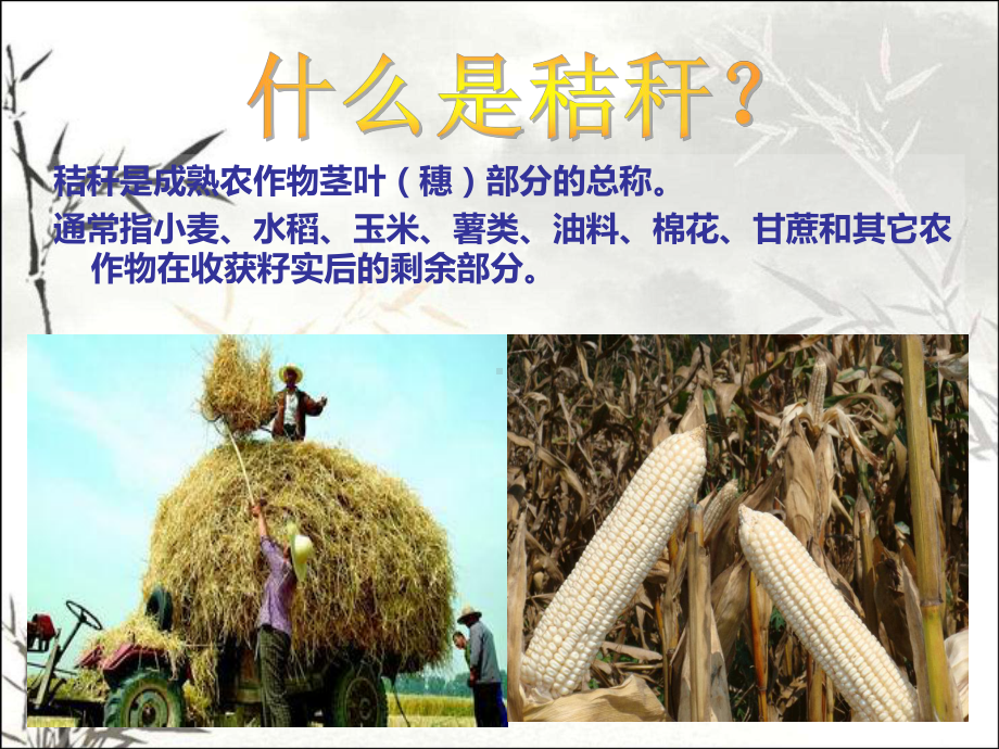 严禁禁烧秸秆-保护环境-课件.ppt_第3页